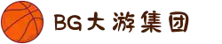 BG大游(集团)唯一官方网站